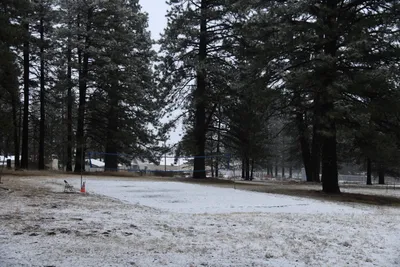 DSC_5794 (Large).JPG